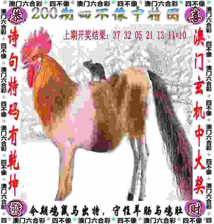 2025新门正版免费资本 v4.2.56.93 官方正式版 1
